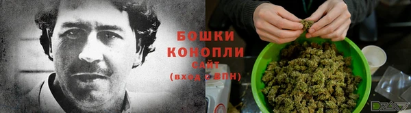 хмурый Тында