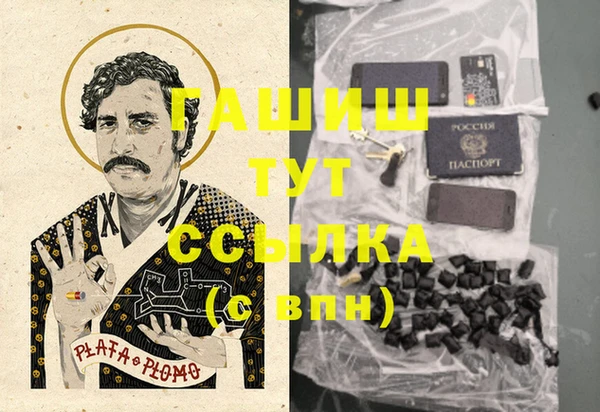 стаф Туринск